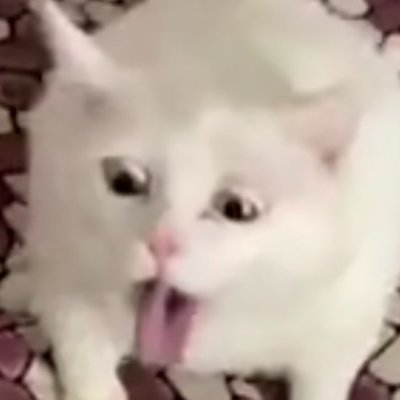 sivtuu's profile picture. 