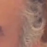 عمك الاربعيني القصيم (@had12222) 's Twitter Profile