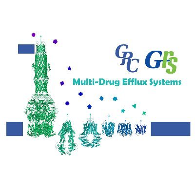 The Multidrug Efflux Systems GRC is a premier international scientific conference focused on advancing the frontiers of science.