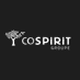 CoSpirit Groupe (@cospirit) Twitter profile photo CoSpirit Groupe (@cospirit) Twitter profile photo