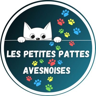 Les Petites Pattes Avesnoises est une association qui vient en aide aux chats errants. https://t.co/jU0Y4n1O7x