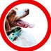 dexterdogouray (@dexterdog_ouray) Twitter profile photo dexterdogouray (@dexterdog_ouray) Twitter profile photo