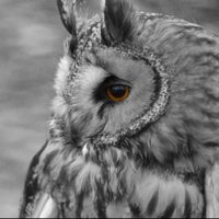 Sir_TC (@sirtc3) 's Twitter Profile Photo Sir_TC (@sirtc3) 's Twitter Profile Photo