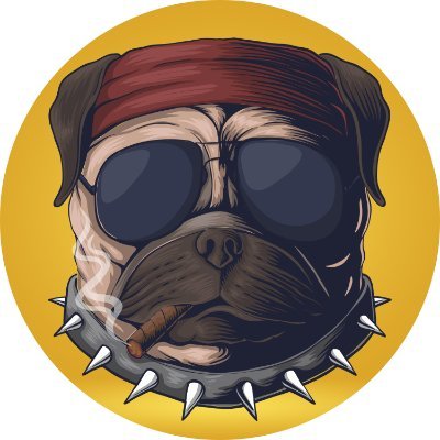 pug_lovers_hub Profile Picture