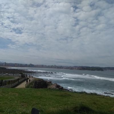 arrieritossoms's profile picture. 