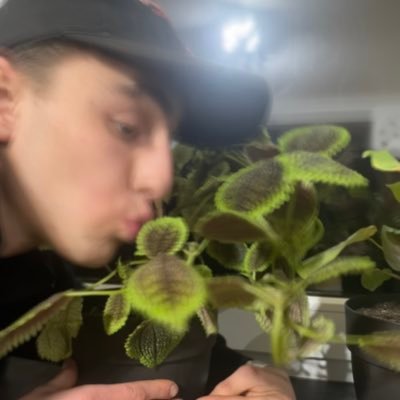 opaskk's profile picture. 