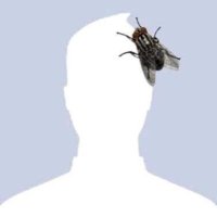 Antiprogres (@hugoaab) 's Twitter Profile