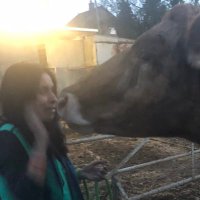Nandini Singh (@nandinisinghuk) 's Twitter Profile Photo Nandini Singh (@nandinisinghuk) 's Twitter Profile Photo