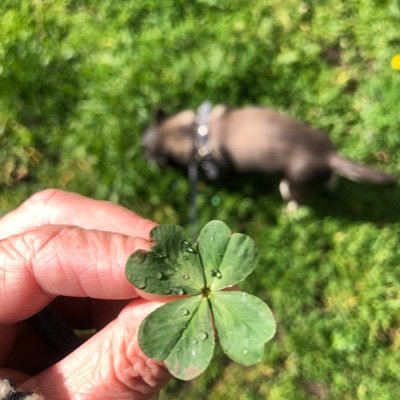 MissPompounette's profile picture. Il n’y a que les pauvres pour penser qu’il y a un rapport entre le travail et l’argent 🤔
Colonel Amanullah « Kaboul kitchen »
La série la + drôle que j’ai vu!