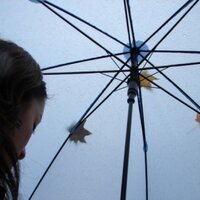 ospuy (@ospuy) Twitter profile photo
