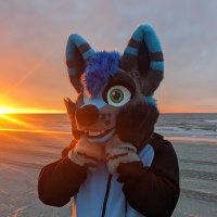 Thotdog w/ Onions π³οΈβπ (@wakewoof) 's Twitter Profile