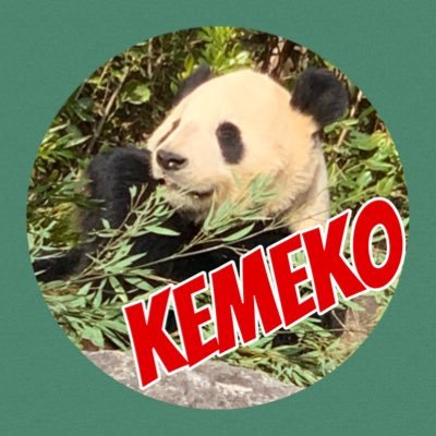 kemecyan's profile picture. スポーツインストラクター•トレーナー 🏋🏻‍♀️をしています。 趣味はプロフェッショナルな エンターテイメントを見る事 ♡パンダ・ねこ・日本ざる が大好き♡猫2匹(のんちゃん•りんちゃん🐈‍⬛)飼ってます 無言フォロー失礼します