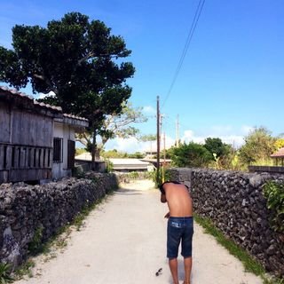 towel170's profile picture. ステーキかから揚げ。