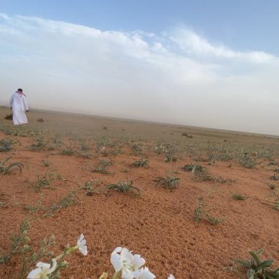 www48884's profile picture. مسلم بسيط موحد لله مجتهد في القراءة  والتثبت من الدين    https://t.co/5Fujoiiwln