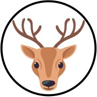 mexicornudos (@mexicornudos) 's Twitter Profile