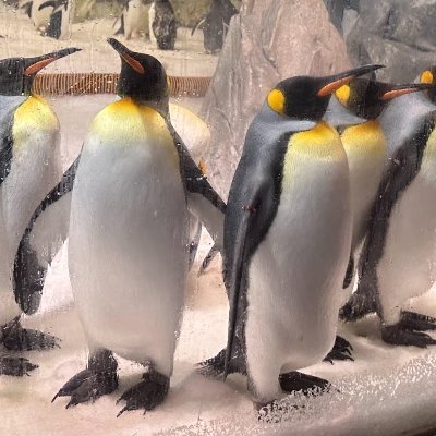 youkatei's profile picture. Good vibrations.