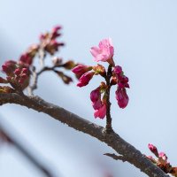 優翠 (@yuusuiyuusui) Twitter profile photo