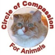 Paws & Claws Society(@PawsClawsNJ) 's Twitter Profile Photo