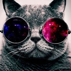 Cesgtc's profile picture. 