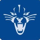 Deep Run Wildcat Softball (@deeprunsoftball) 's Twitter Profile