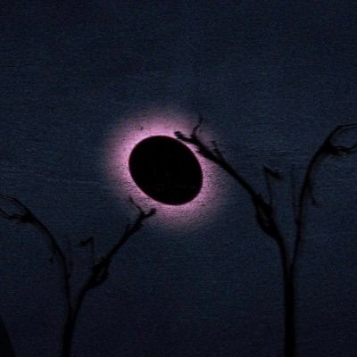 SanjiSan_'s profile picture. arrêter vos conneries, no kizzy 🗣️