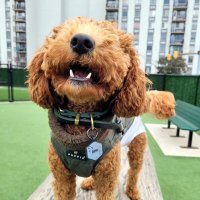 Craig Atkinson (@atky2000) 's Twitter Profile