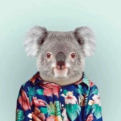 wqiuhao's profile picture. iOS | Developer of XRecipes