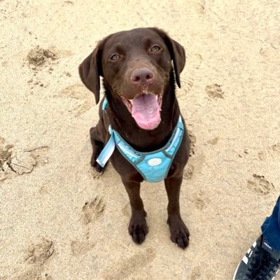 LadyMathewsUK's profile picture. 