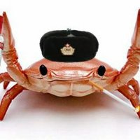 Vodka Crab (@crabvodka) 's Twitter Profile
