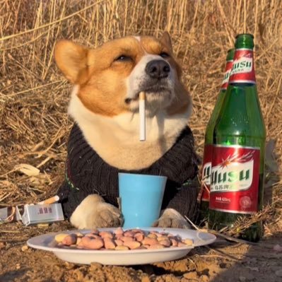 lianxMain's profile picture. ios developer