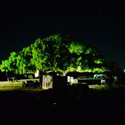 AhmerHussain16's profile picture. If you call a bully's bluff, he crumbles!