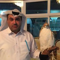 محمد خير الدين (@saudpatek) 's Twitter Profile