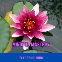 Mindful Mastery(@mastery_mindfu1) 's Twitter Profile Photo