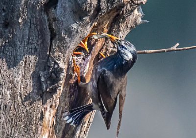 luohaixia022188's profile picture. BNC超级vip有关必回