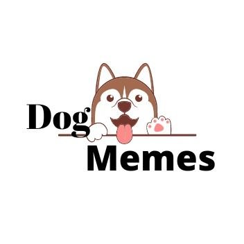 🐕Daily dog  memes
🐶Dog video and memes