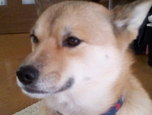 haruhisa1967's profile picture. 八百万の神開運暦の相談師をしています。 あなたの知らない才能や能力を知りたくないですか？また、あなたを補ってくれる人がいたとしたら知りたくないですか？それがあなたの家族や友人、会社の同僚だとしたら、それが誰なのか知りたくないですか？ 数魂がわかると全部わかるんですが知りたくないですか？