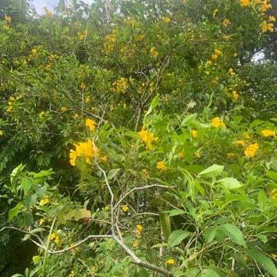 Ribkahdm2023's profile picture. 