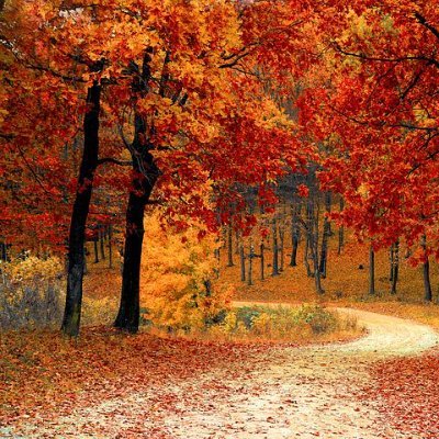 SaeedaChetana's profile picture. beacon of light in a dark world