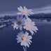 Om leen (@om_leen70) Twitter profile photo Om leen (@om_leen70) Twitter profile photo