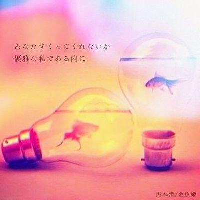 bokkuri62376443's profile picture. LIVEハウス大好き人間✨
黒木渚
レトロリロン/明くる夜の羊/Gordon/チョーキューメイ/ITAZURASTORE/
橙乃祐理/櫻井里花/JiHang/ミノノサトエ/mame/フジタカコ/タケモトリオ/Yubne38°c/幸木野花/and more...、弾き語り大好物🎸