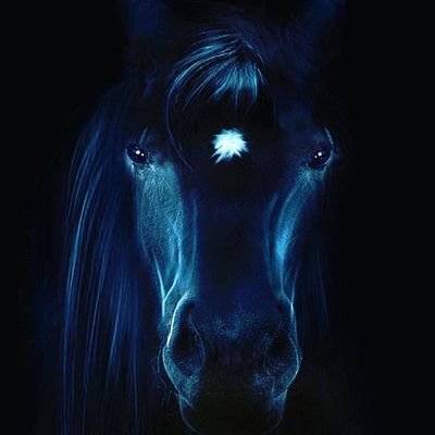 MSGcrypto's profile picture. 