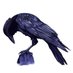 A Fullwood / Dark Forge (@darkforge14) Twitter profile photo A Fullwood / Dark Forge (@darkforge14) Twitter profile photo
