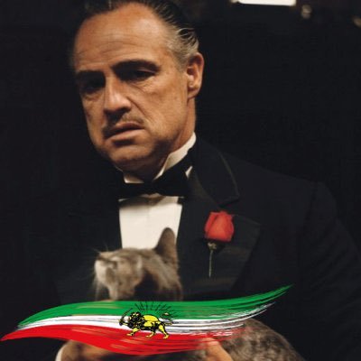 FalconSartipi's profile picture. چه سوختیم چه ساختیم چه بردیم چه باختیم چه لــــری چه لاری چه کـــردی چه فارسی چه بلـــوچ چه گیلک چه ترکی چه ساری شکفتیم شکافتیم شتافتیم تا ساختیم.