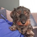 Robert jensen - @robjensen19 - Twitter