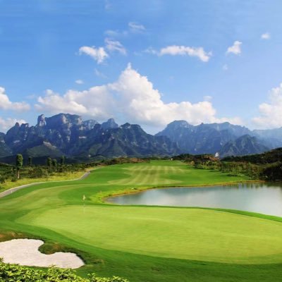 rickyaoyao's profile picture. 