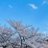 SMGO_J_