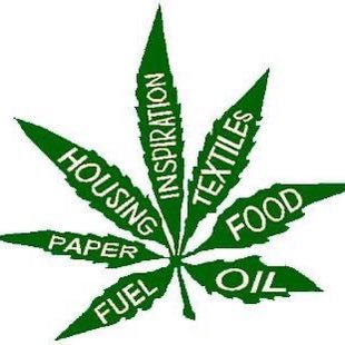 TansonJosie's profile picture. all about education on my passion.