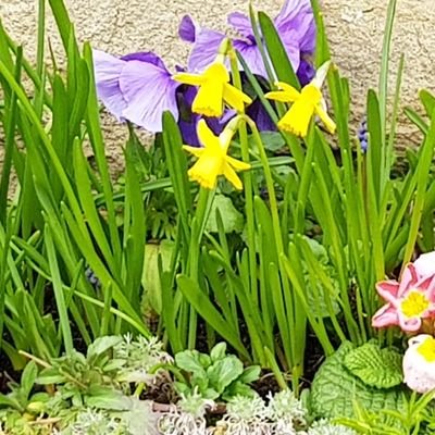 t79839796's profile picture. 