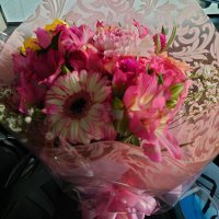 花（女風や、つぶやき、身体弱い人） (@ikaayc9ya0etrcn) Twitter profile photo