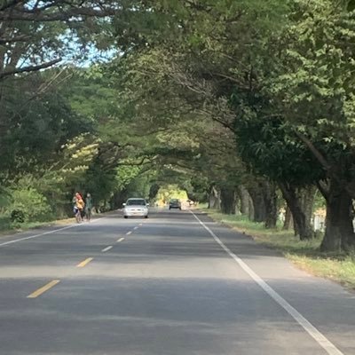 dmsm06's profile picture. 